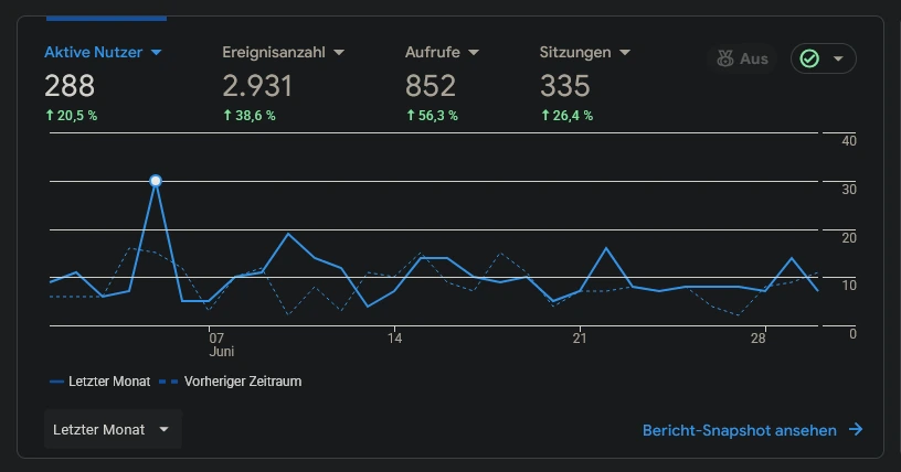 Messbare Ergebnisse – Statistik einer betreuten Website